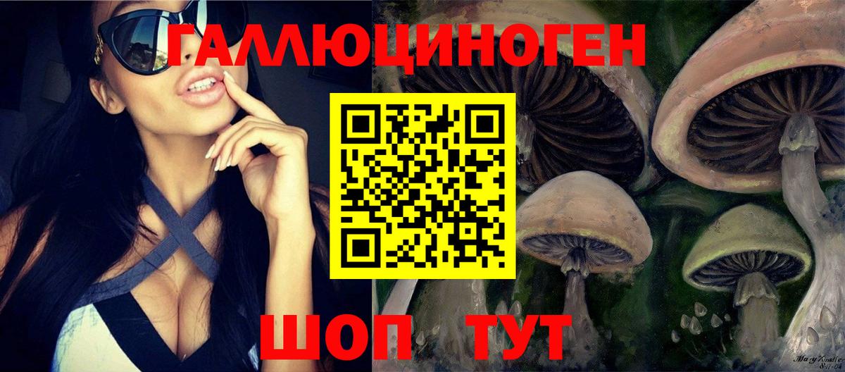 Галлюциногенные грибы мухоморы Туапсе